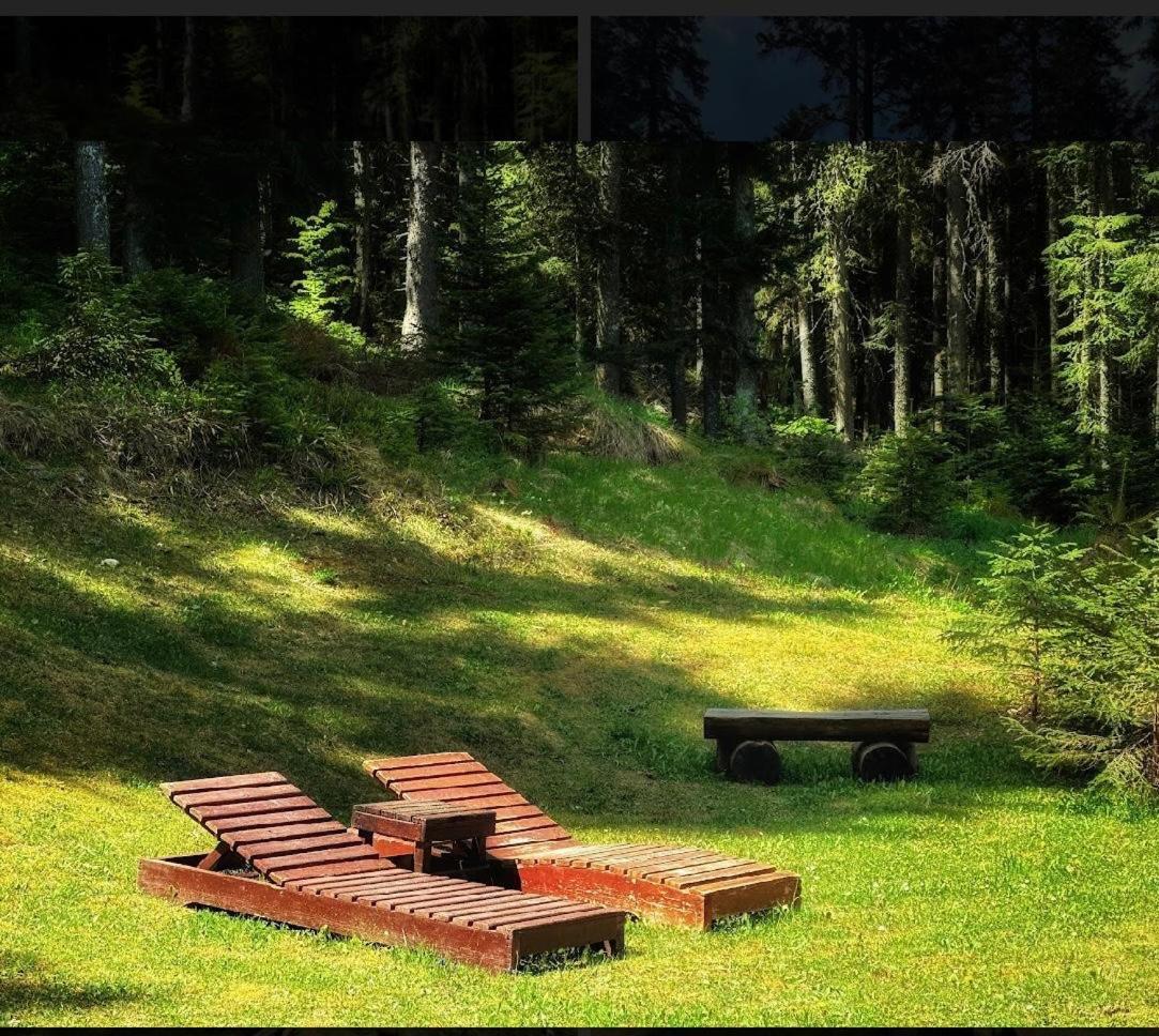 Vila Dragana Žabljak Buitenkant foto