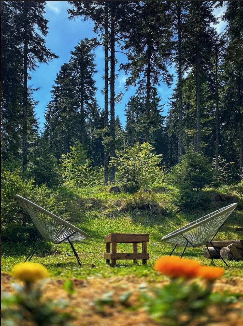 Vila Dragana Žabljak Buitenkant foto