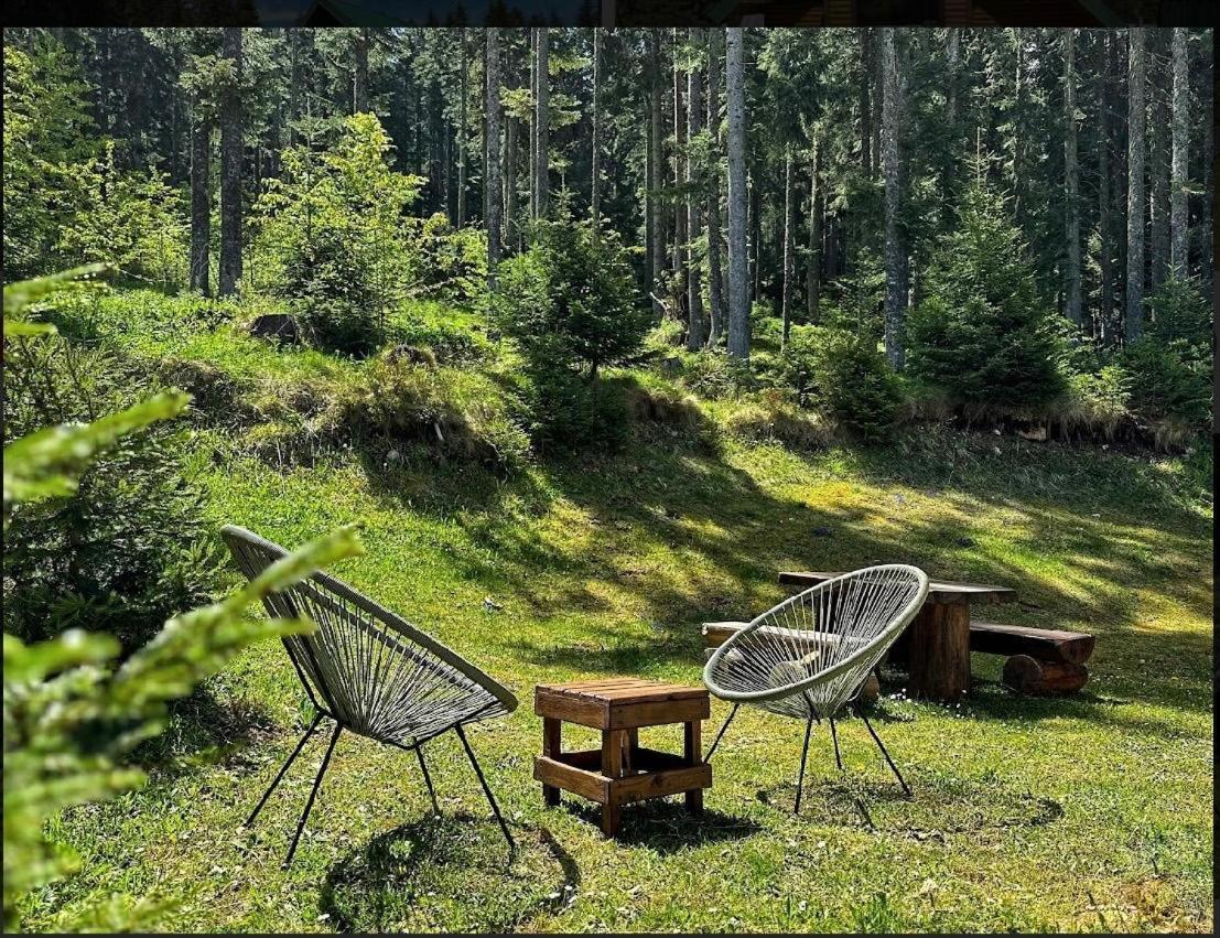 Vila Dragana Žabljak Buitenkant foto