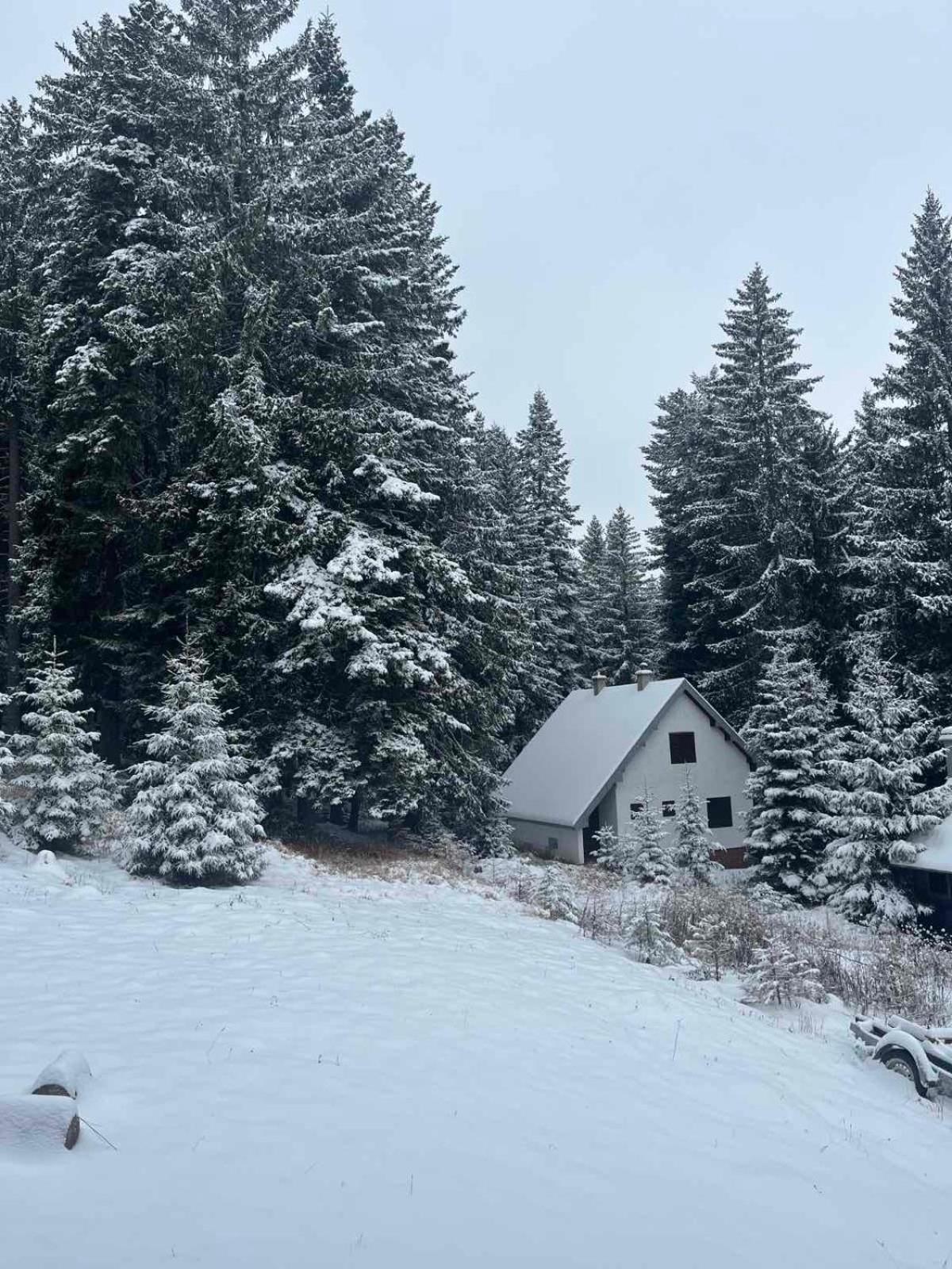 Vila Dragana Žabljak Buitenkant foto