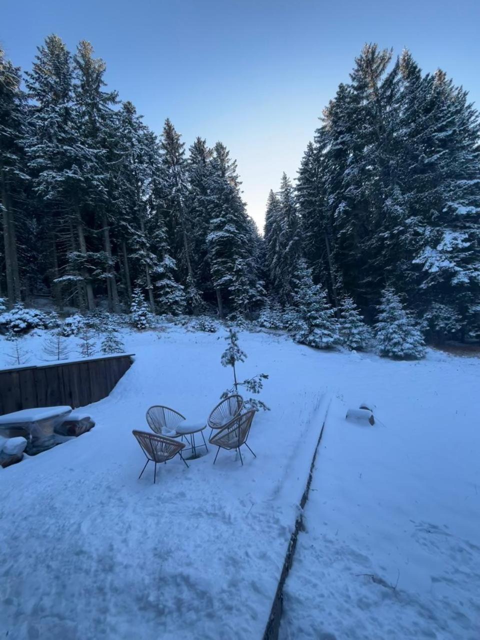 Vila Dragana Žabljak Buitenkant foto